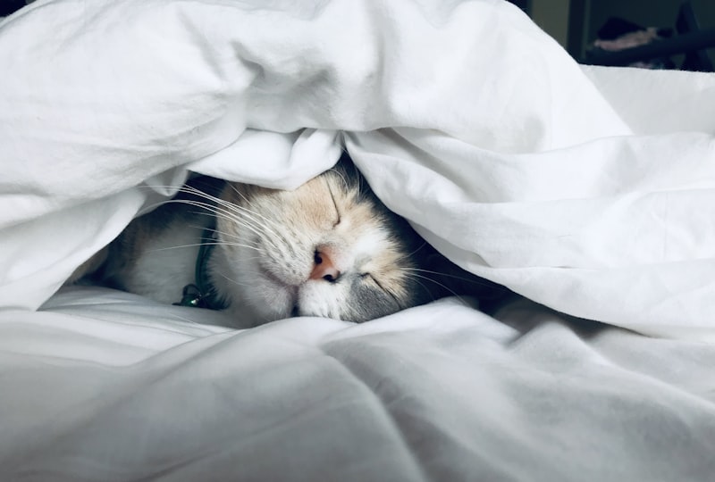 Sleep Optimization